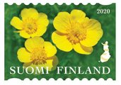 Suomi 2020 - Luonnonkukkia 5/8 - niittyleinikki Suomi 2020 - Luonnonkukkia 5/8 - niittyleinikki