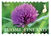Suomi 2020 - Luonnonkukkia 6/8 - puna-apila Suomi 2020 - Luonnonkukkia 6/8 - puna-apila