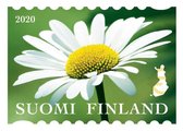 Suomi 2020 - Luonnonkukkia 7/8 - päivänkakkara Suomi 2020 - Luonnonkukkia 7/8 - päivänkakkara