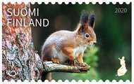 Suomi 2020 - Pihapiirin vierailijat 1/2 - Orava Suomi 2020 - Pihapiirin vierailijat 1/2 - Orava