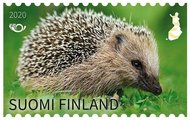 Suomi 2020 - Pihapiirin vierailijat 2/2 - Siili Suomi 2020 - Pihapiirin vierailijat 2/2 - Siili
