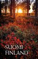 Suomi 2021 - Syksyn kajo 4/5 - syksyinen metsä Suomi 2021 - Syksyn kajo 4/5 - syksyinen metsä