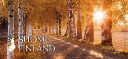 Suomi 2021 - Syksyn kajo 5/5 - syksyinen koivukuja Suomi 2021 - Syksyn kajo 5/5 - syksyinen koivukuja
