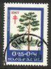 Suomi 1967 - Tuberkuloosi 1967 2/3 - Mänty - Oulu 10 6.3.76 19 Suomi 1967 - Tuberkuloosi 1967 2/3 - Mänty - Oulu 10 6.3.76 19
