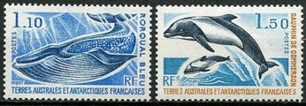 French Antarctic 1977 - Blue Whale, Commersons Dolphins (2)