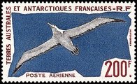 Ranskan Antarktis 1959 - Albatross Ranskan Antarktis 1959 - Albatross