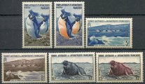 Ranskan Antarktis 1956 - Penguin, St. Paul, New Amsterdam and seal (6) Ranskan Antarktis 1956 - Penguin, St. Paul, New Amsterdam and seal (6)