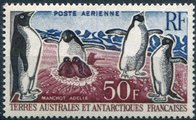 Ranskan Antarktis 1962 - Adelie Penguins