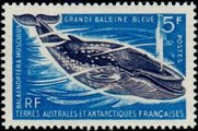 Ranskan Antarktis 1966 - Blue Whale Ranskan Antarktis 1966 - Blue Whale