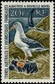 Ranskan Antarktis 1968 - Black-browed Albatross Ranskan Antarktis 1968 - Black-browed Albatross