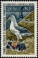 Ranskan Antarktis 1968 - Black-browed Albatross