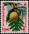Ranskan Polynesia 1959 - Breadfruit tree Ranskan Polynesia 1959 - Breadfruit tree