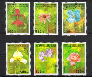 Guinea 1995 - Flowers (6) Guinea 1995 - Flowers (6)