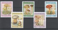 Guinea 1995 - Mushrooms (5) Guinea 1995 - Mushrooms (5)