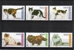 Guinea 1996 - Cats (6) Guinea 1996 - Cats (6)