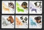 Guinea 1997 - Dogs (6) Guinea 1997 - Dogs (6)