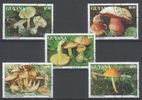 Guyana 1993 - Mushrooms (5) Guyana 1993 - Mushrooms (5)
