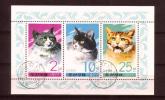 Korea P (DPRK) 1977 - Cats (sheet of 3)