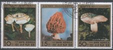 Korea P (DPRK) 1986 - Mushrooms (3) Korea P (DPRK) 1986 - Mushrooms (3)
