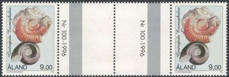 Fossiileja 9,00 Gastropoda välilöpari numerolla (esimerkkikuva)