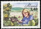 Maatalous 2,40 Avomaan kurkku (esimerkkikuva)