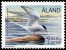 Sea birds 1,80 - Arctic tern (sample image)