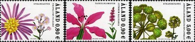 Rantakasveja (3) (esimerkkikuva)