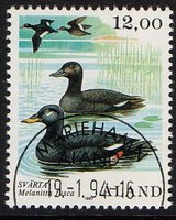 Merilintuja 12,00 Pilkkasiipi - Mariehamn 19.1.94 (esimerkkikuva)