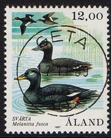 Merilintuja 12,00 Pilkkasiipi - Geta 7.11.89 (esimerkkikuva)