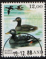 Merilintuja 12,00 Pilkkasiipi - Fiskö 19.12.88 (esimerkkikuva)
