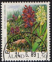Kämmekkäkasveja 1,50 Seljakämmekkä - Brändö Åland 14.6.89 (esimerkkikuva)