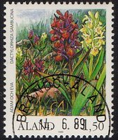 Kämmekkäkasveja 1,50 Seljakämmekkä - Brändö Åland 14.6.89 (esimerkkikuva)