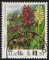 Kämmekkäkasveja 1,50 Seljakämmekkä - Brändö Åland 14.6.89 (esimerkkikuva)