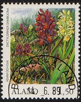 Kämmekkäkasveja 1,50 Seljakämmekkä - Brändö Åland 14.6.89 (esimerkkikuva)