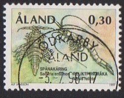 Jääkauden relikkejä 0,30 Kilkki ja jäännehalkoisjalkainen - Ödkårby 3.7.98 (esimerkkikuva)