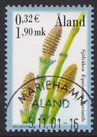 Itiökasveja 1,90 - Järvikorte - Mariehamn 5.11.01 (esimerkkikuva)
