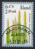 Itiökasveja 2,80 - Riidenlieko - Mariehamn 5.11.01 (esimerkkikuva)
