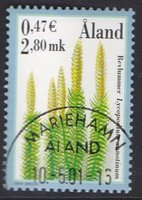 Itiökasveja 2,80 - Riidenlieko - Mariehamn 10.5.01 (esimerkkikuva)