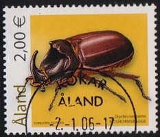 Kovakuoriaisia 2,00 - Sarvikuonokas - Kökar 2.1.06 (esimerkkikuva)