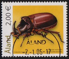 Beetles 2,00 - European Rhinoceros Beetle - Kökar 2.1.06 (sample image)