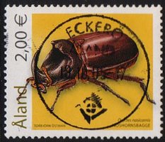 Kovakuoriaisia 2,00 - Sarvikuonokas - Eckerö 18.10.05 (esimerkkikuva)
