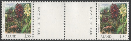 Kämmekkäkasveja 1,50 Seljakämmekkä välilöpari numerolla (esimerkkikuva)
