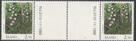 Kämmekkäkasveja 2,50 Miekkavalkku välilöpari numerolla (esimerkkikuva)
