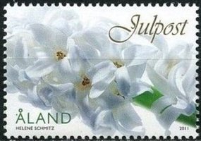 Joulupostimerkki 2011 - Hyasintti (esimerkkikuva)