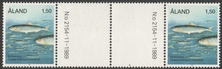 Kaloja 1,50 Silakka välilöpari numerolla (esimerkkikuva)