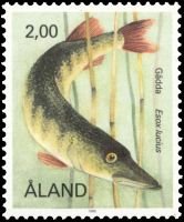 Kaloja 2,00 Hauki (esimerkkikuva)