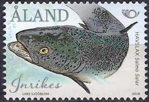 Lohi (esimerkkikuva)