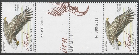 Merikotka välilöpari (esimerkkikuva)