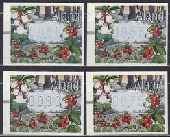 ATM 16 0.50, 0.55, 0.60, 0.75 e puolukka (esimerkkikuva)