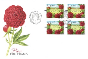 ATM 19 0.55, 0.65, 0.75, 0.85 e (01.03.2007) Pioni FDC (esimerkkikuva)